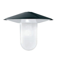 Piatto lenticolare illuminazione. 12312