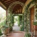 Arco per Rose da Interno e Sotto Portico in Ferro Battuto. RIO