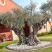 Elemento per Recinzione Aiuole In Ghisa Art. PS7 Elemento per Recinzione Aiuole In Ghisa Art. PS7