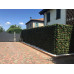 Siepe artificiale sintetica Photinia