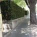 Siepe artificiale sintetica Photinia