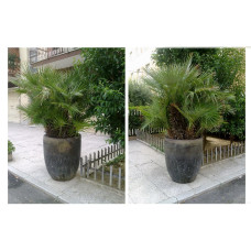 Vaso fiori Vecchio crogiolo di fonderia Grande