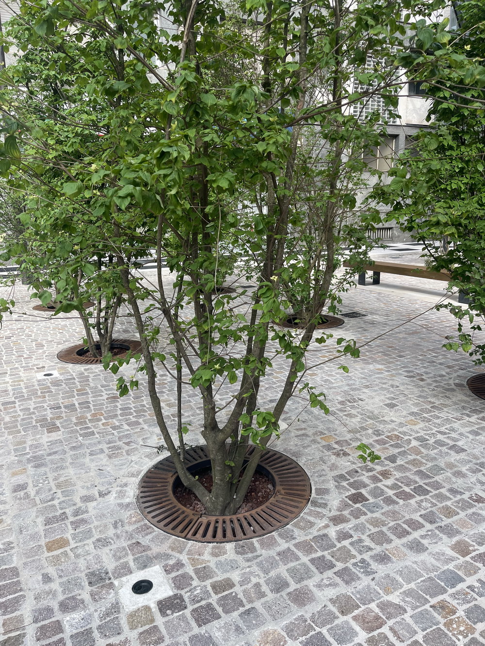 Aiuola della Torre Velasca