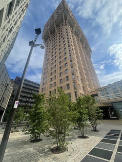 -Torre Velasca Milano. Griglie protezione aiuole albero.